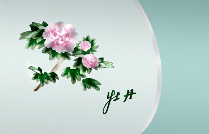 1578052752219686.jpg 1.jpg